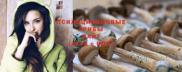 прущая мука Бородино