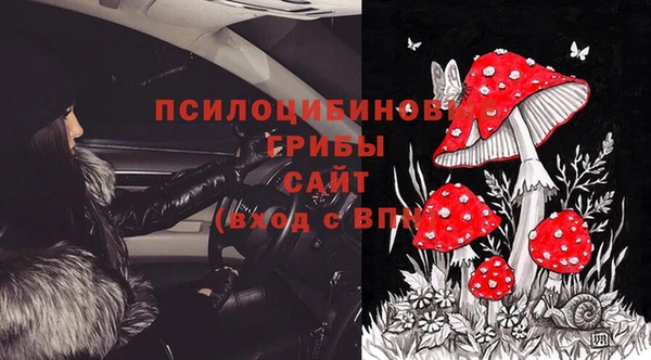 прущая мука Бородино