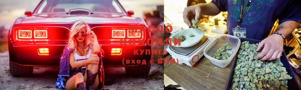 прущая мука Бородино