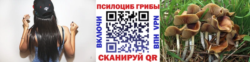 Галлюциногенные грибы Cubensis  Нариманов 